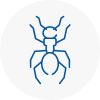 Ant Removals In Whaley Bridge