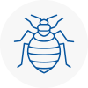 Bed Bug Extermination In Whaley Bridge