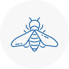 Bee Nest Removal Whaley Bridge