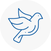 Bird Prevention Whaley Bridge