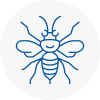 Whaley Bridge Hornet Nest Removals
