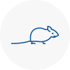 Mice Exterminators In Whaley Bridge