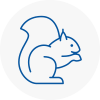 Whaley Bridge Rodent Removals